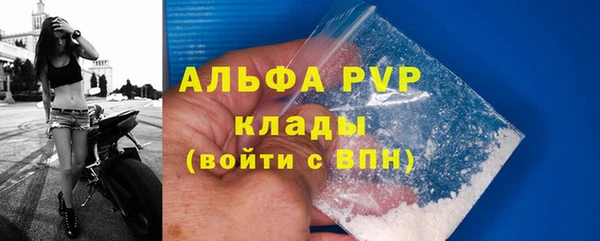 гидра Арсеньев