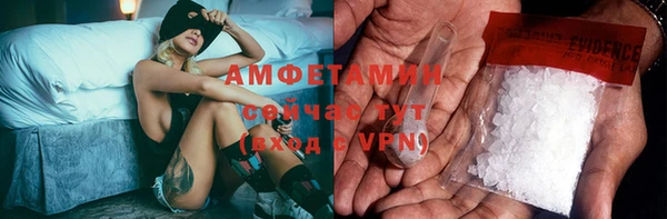 гидра Арсеньев