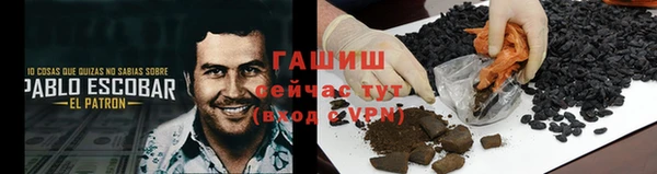 гидра Арсеньев
