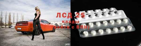 спайс Аркадак