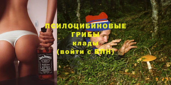 гидра Арсеньев