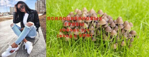 спайс Аркадак