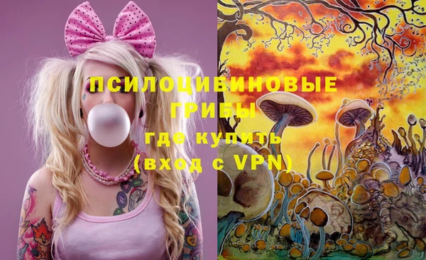 гидра Арсеньев