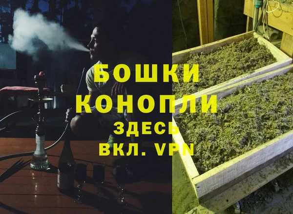 гидра Арсеньев