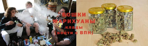 гидра Арсеньев