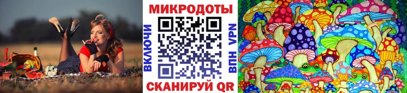 Галлюциногенные грибы Cubensis  цена   hydra ССЫЛКА  Сергач 
